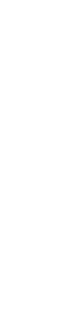 BLACK CROW 1 クロガラス1